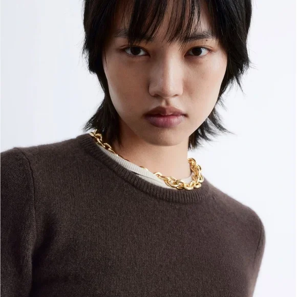 NWT Brown Cashmere T-　Shirt - Picture 2 of 5